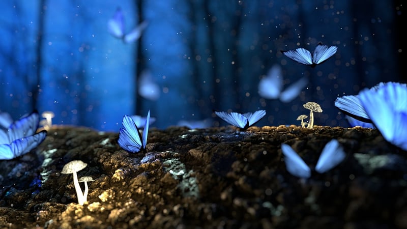 Fairytale Forests